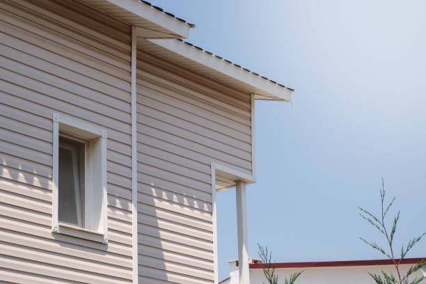 istockphoto-1560744578-612x612