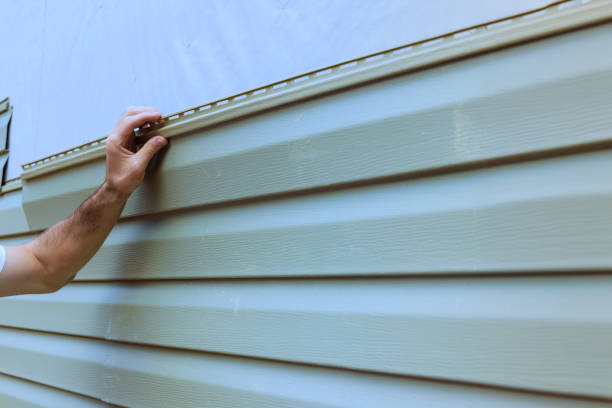 istockphoto-2159580127-612x612